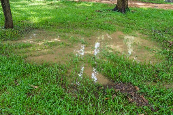 Storm Water Drainage Service in Largo