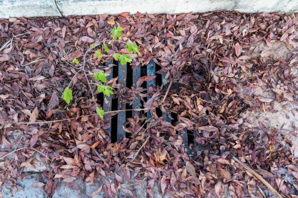 Yard Drain Unclogging in Largo