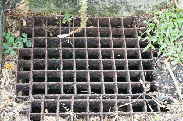 Yard Drain Cleaning in Largo