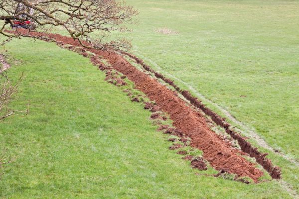 Cost of Swale Installation in Largo