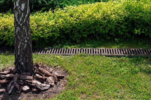 Garden Drainage Installation in Largo