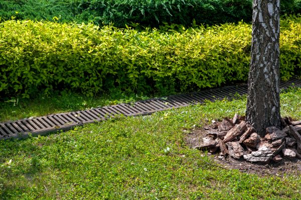 Residential Landscape Drainage in Largo