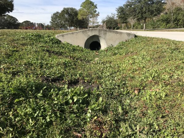 Cost of Swale Drainage Service in Largo